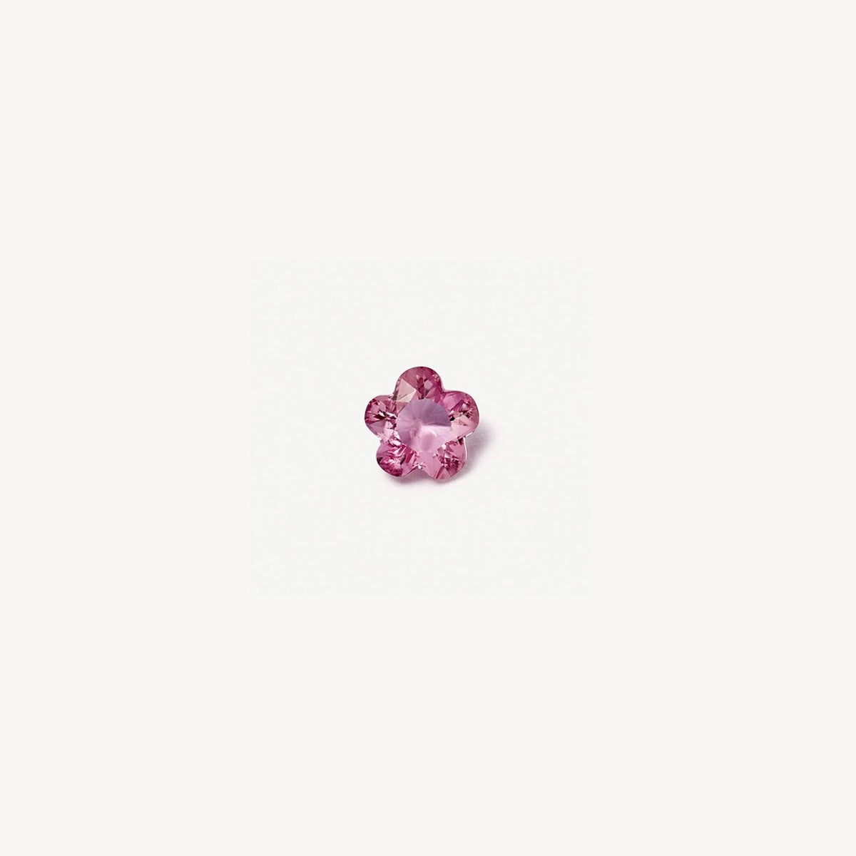 Birthstone Locket Ring and Charm Collection