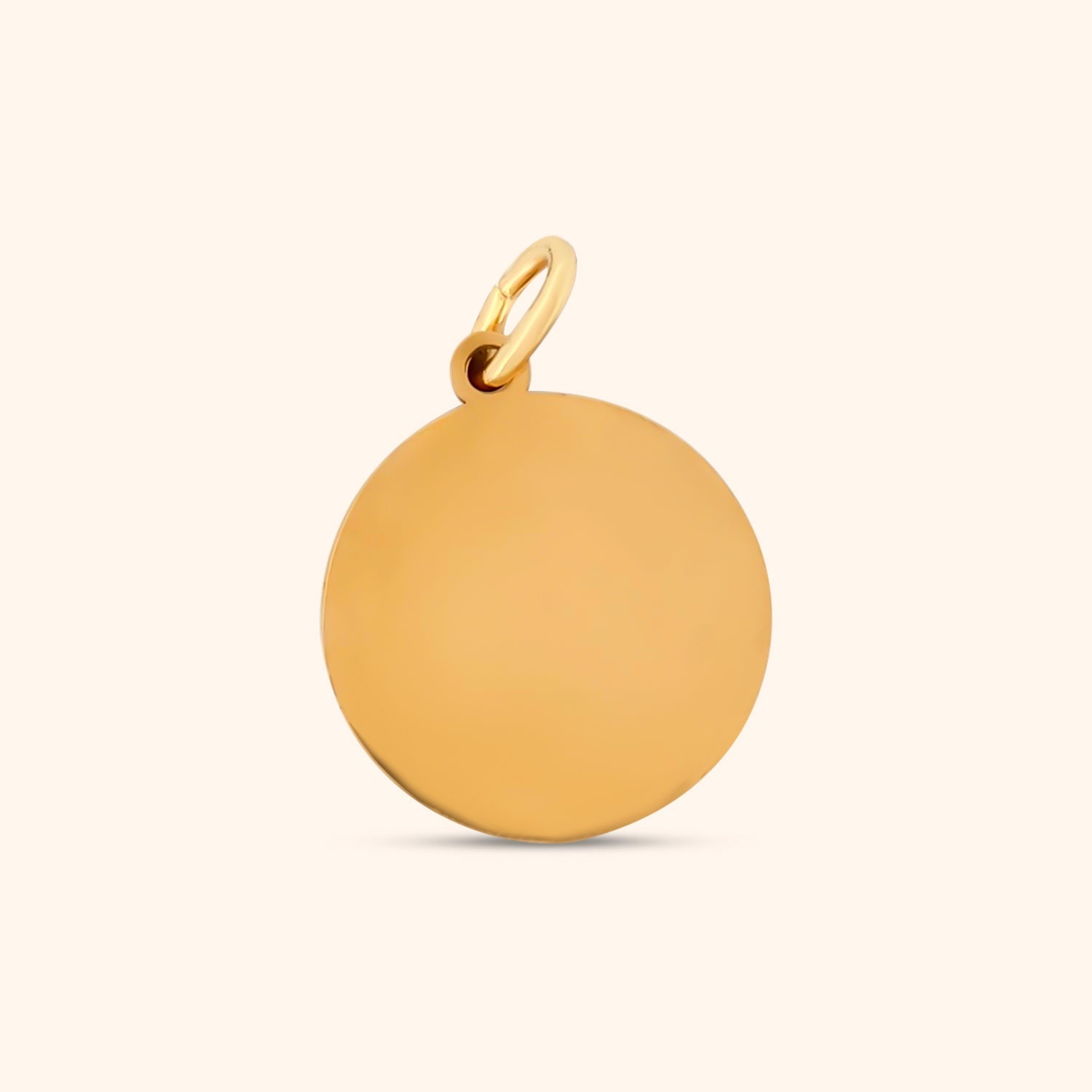 Aegis Charm