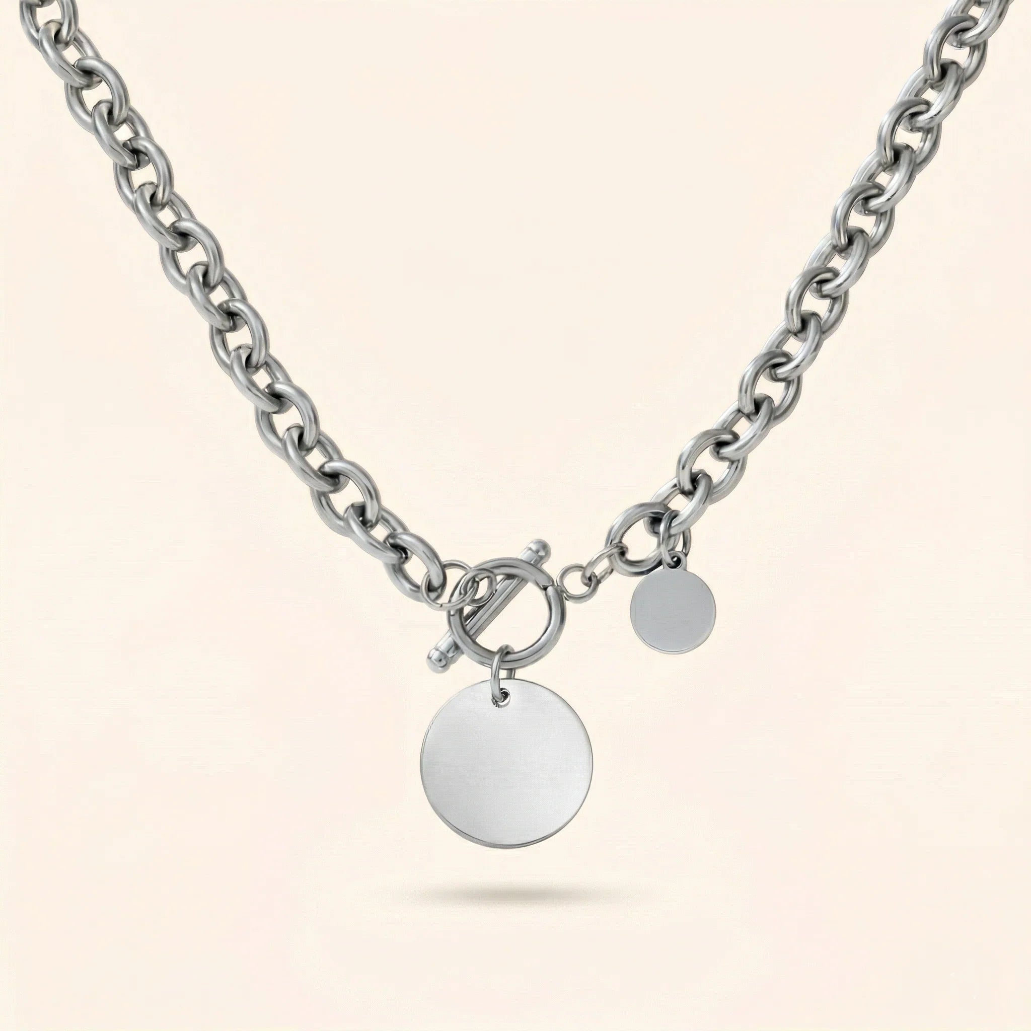 Medallion Toggle Necklace