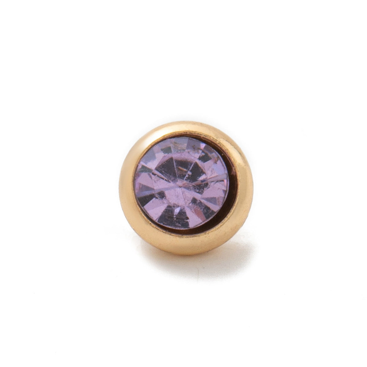 Dog Glass Locket Necklace Collection