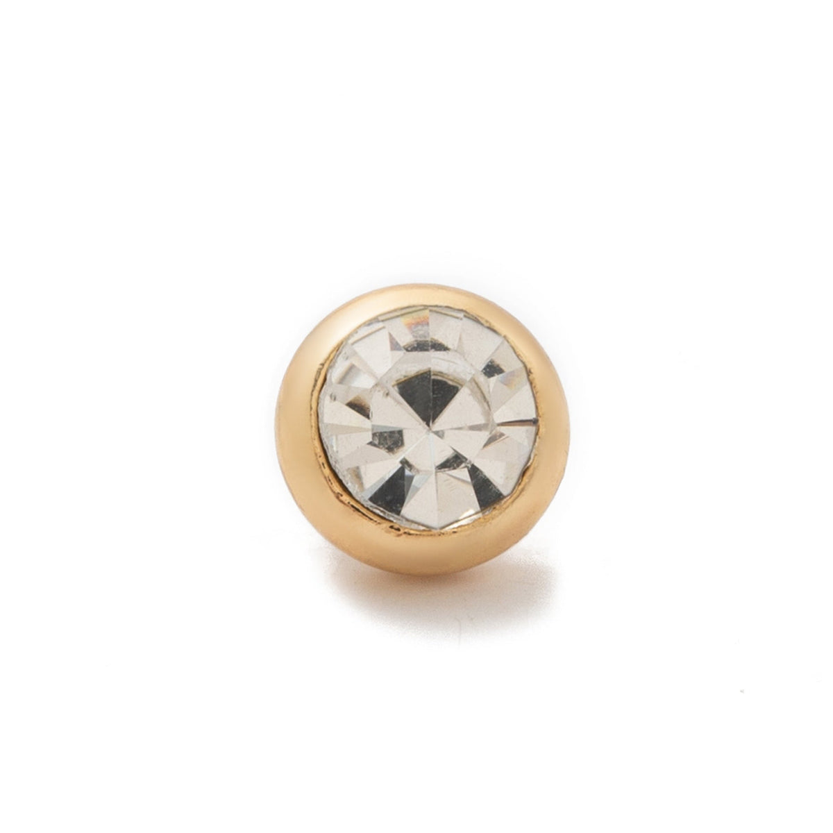 Dog Glass Locket Necklace Collection