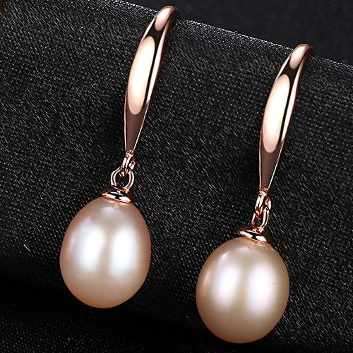 Elegant Ear Hook Earrings For Women