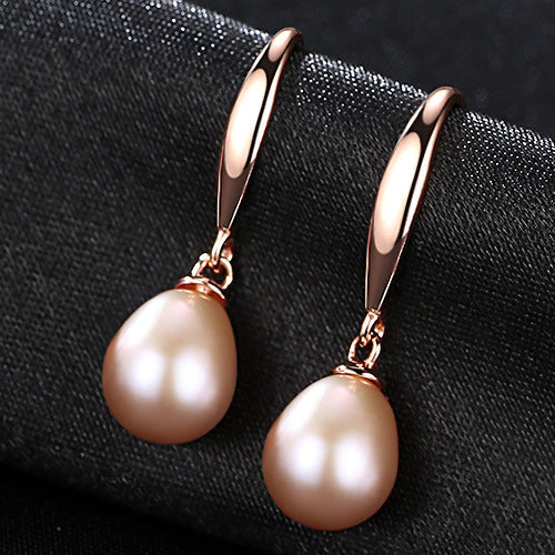 Elegant Ear Hook Earrings For Women